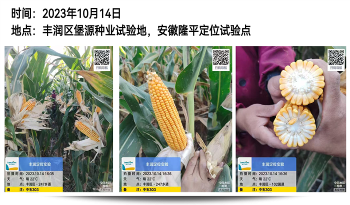 图片62.png