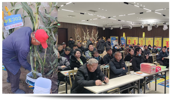 图片64.png